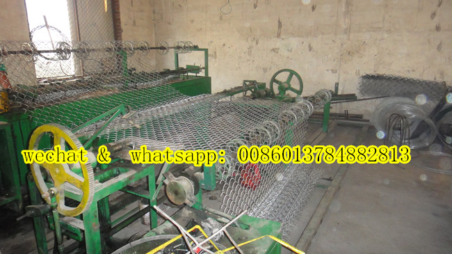 Galvanized Chain Link Fence (Factory Exporter)