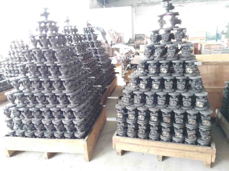 Forged Steel Valves A105