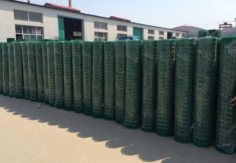 Euro Fence/Holland Fence/Welded Wire Mesh Fence