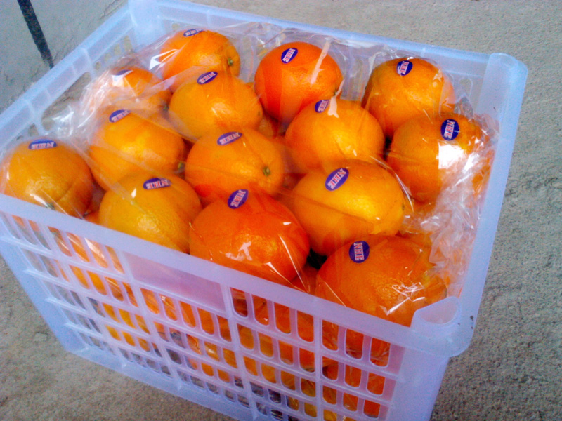 Fresh First Quality Navel Orange