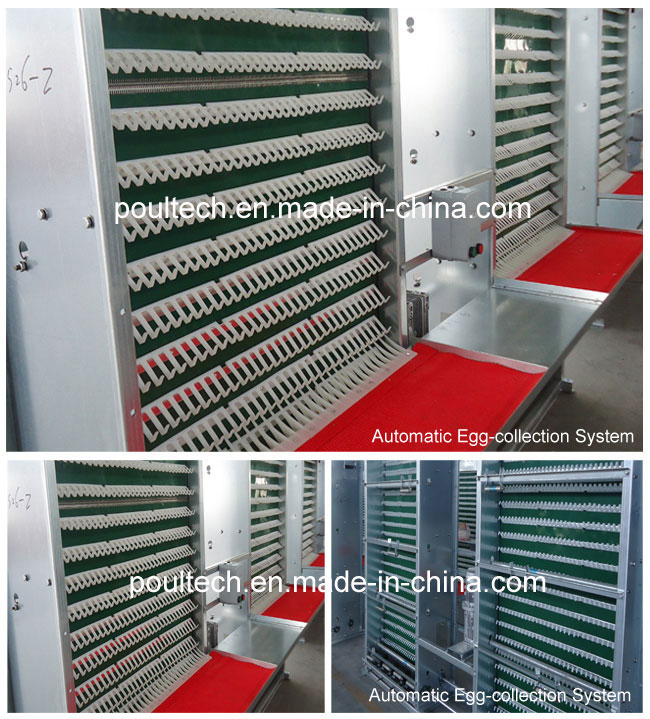 Hot Sale Automatic Poultry Farm Battery Chicken Cages