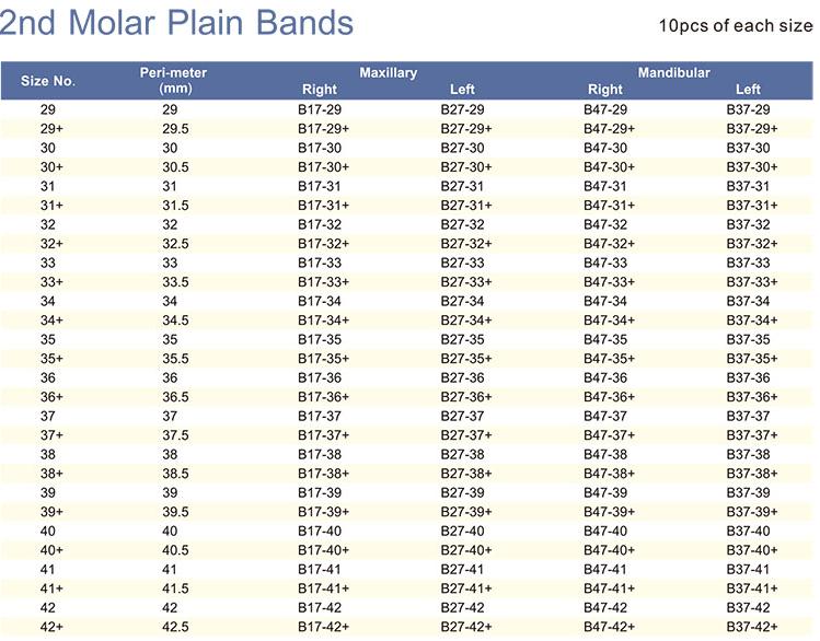 Plain Molar Bands