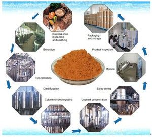 Reed Rhizome Extract/Reed Rhizome Powder