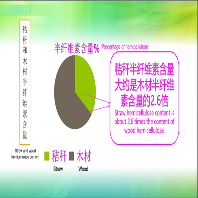 Bagasse Pulp Making System