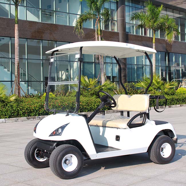 Environmental Golf Course Use Electric Cart, Electric Golf Car (DG-C2)