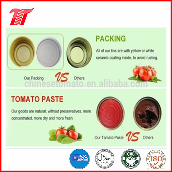 Tomato Paste (2.2kg canned) with Gino Brand or OEM Brand