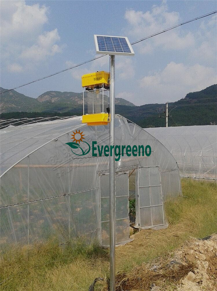 High Quality Portable Solar Pesticides Insecticides Killing Lamp Manufacturer&Supplier