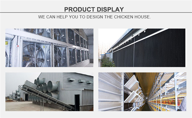 China Factory Automatic Poultry Environment Control Shed Equipment