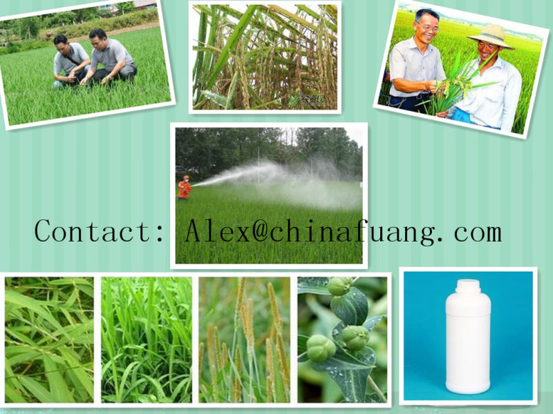 Agricultural Chemicals Herbicide Clodinafop Propargyl Tc 95% Clodinafop