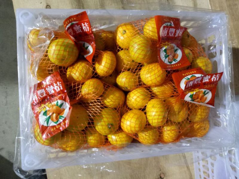 Golde Supplier of Sweet Baby Mandarin