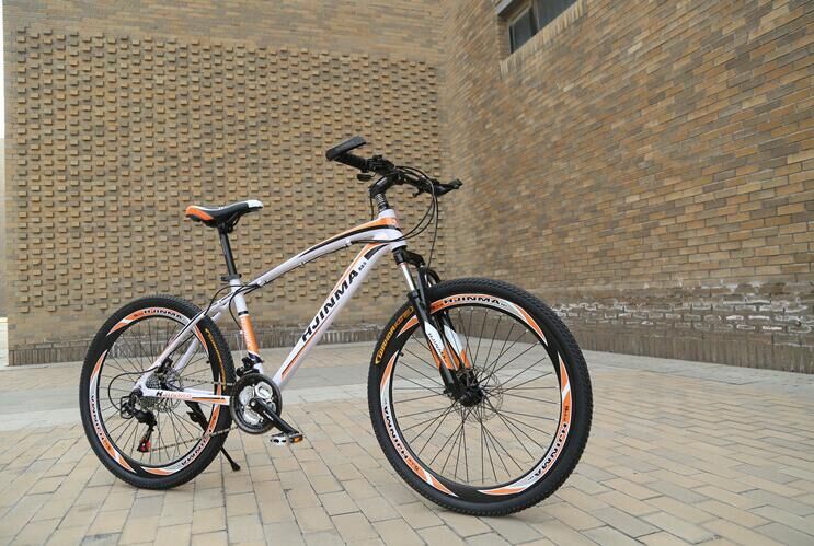 26 Inch High Quality Mountain Bicycle MTB -Ly035