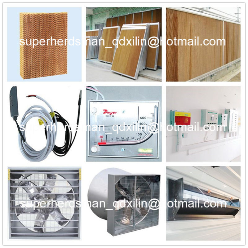 Full Set Automatic Poultry Farming Equipments