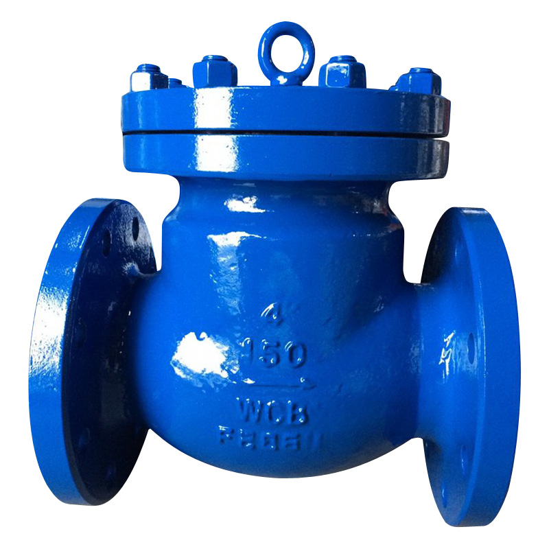 API Carbon Steel Swing Check Valve with Flange End