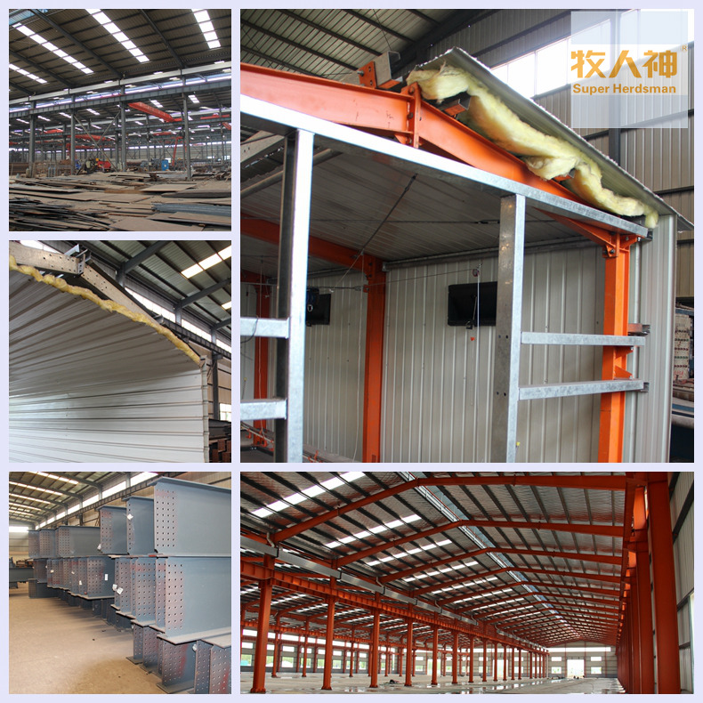 Automatic Poultry Equipment with Prefab House Construction for One-Stop