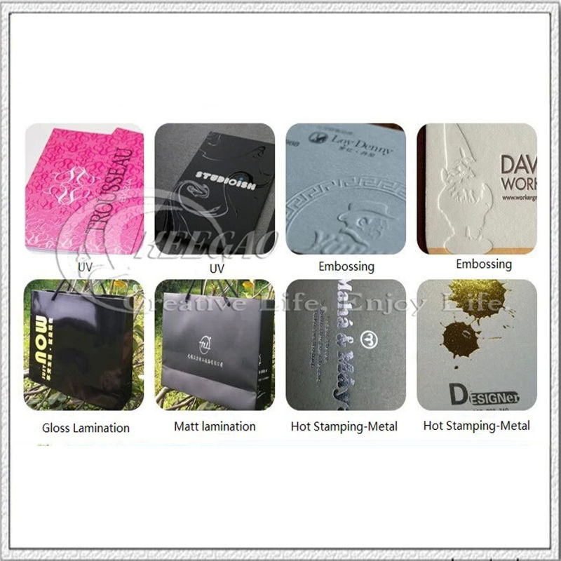 Fashion Paper Bag for Shopping (PB139)