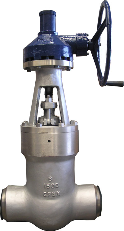 API 600 Wedged Stainless Steel Gate Valve