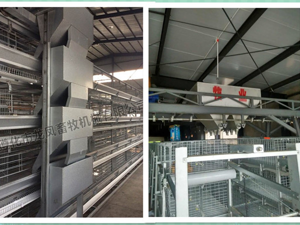 New Design Low Cost Battery Broiler Cage with Certificate of ISO9001