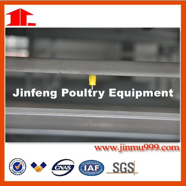 H Type Automatic Chicken Cage for Layer