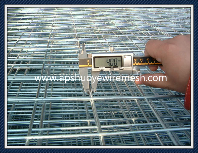 Galvanized Steel Welded Wire Mesh Panel or in Roll