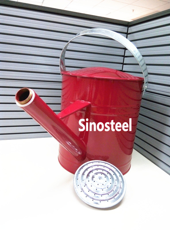 5 Liter Floral Rose Watering Can Metal Self Watering Can