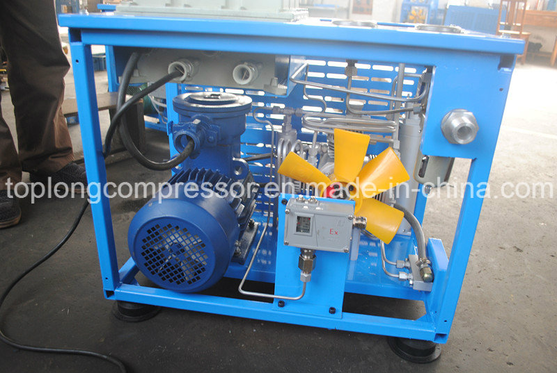 Bx6 Home CNG Compressor for Car CNG Compressor