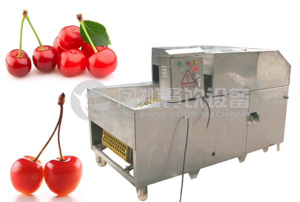 Cherry Stoner, Cherry Pit Removing Machine