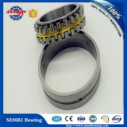 Food Equipment Bearing Cylindrical Roller Bearings (NUP340M)