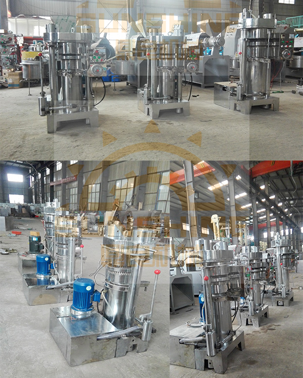 Hot Sale 6yz-230 Seed Oil Extraction Machine