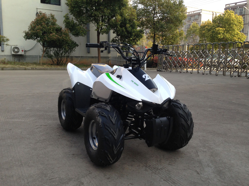 49cc Mini Quad ATV