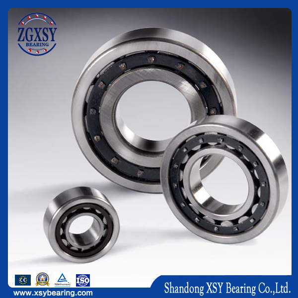 High Speed Load One Two and Four Row Steel Cylinderical Roller Bearings (NU, NJ, NF, NP, NUP and N)