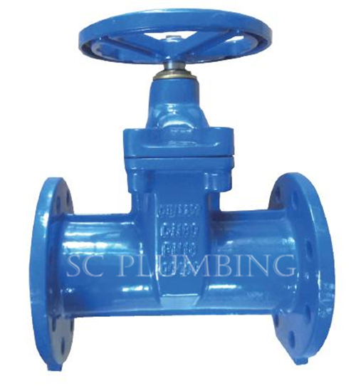 Resilient Seated Gate Valve DIN3202 F5 (NRS, Flange end)