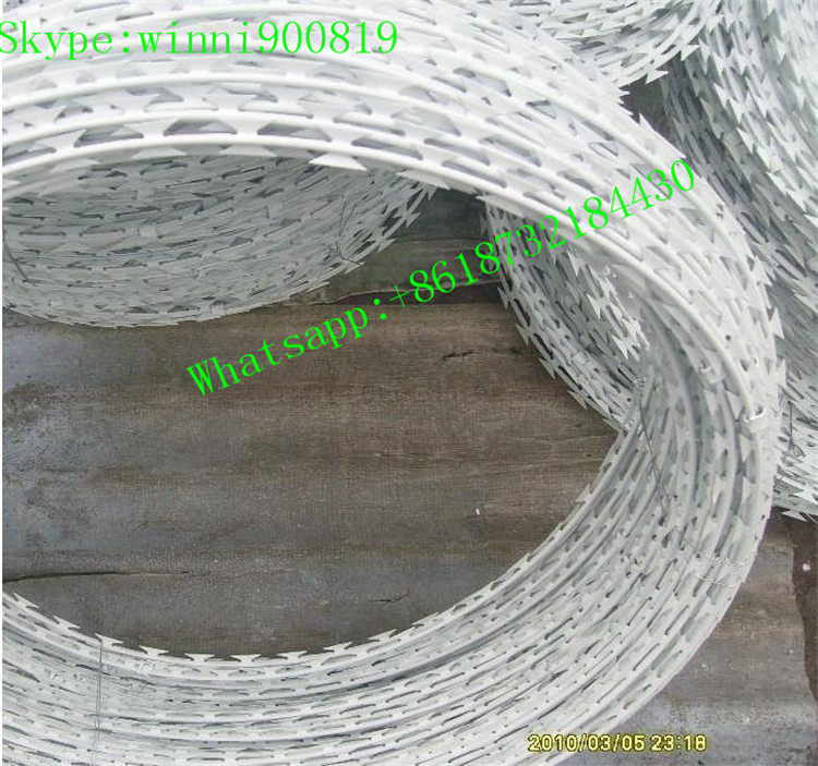 China Supplier High Quality Galvanized Razor Barbed Wire/Concertian Wire Coil/Concertina Razor