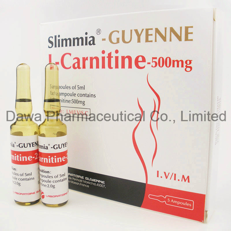 Readt Stock for Fat Burning L-Carnitine Injection 2.0g