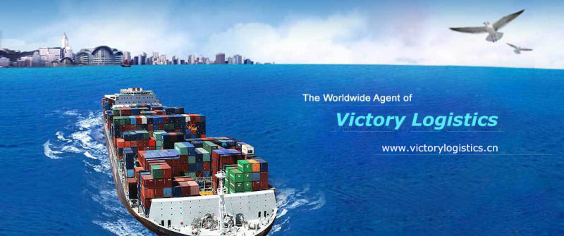 Freight Forwarder Agent/Shipping Logistics/Shipping Agent in China