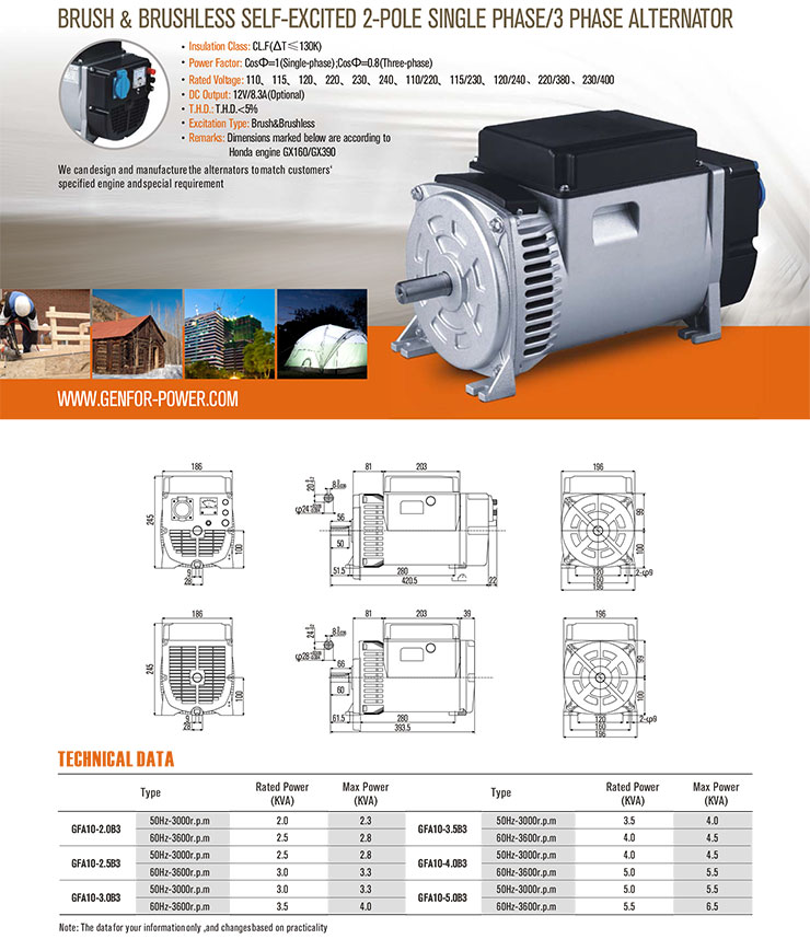 5kVA Hot Sale Double-Bearing Alterantor with Brush AVR Battery Charge, Electric