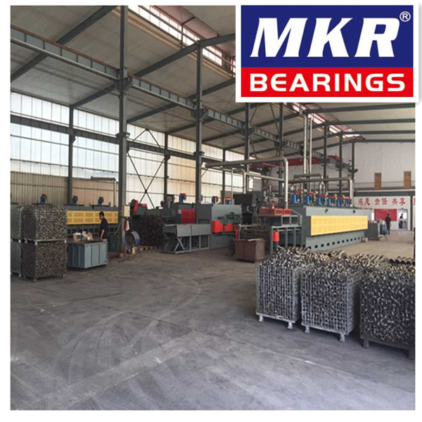 Rodamientos/ Bearing/ SKF/ NSK/ Koyo/ Timken Bearing/China Bearing