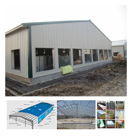 Superherdsman Steel Structure Designed Poultry Farming House