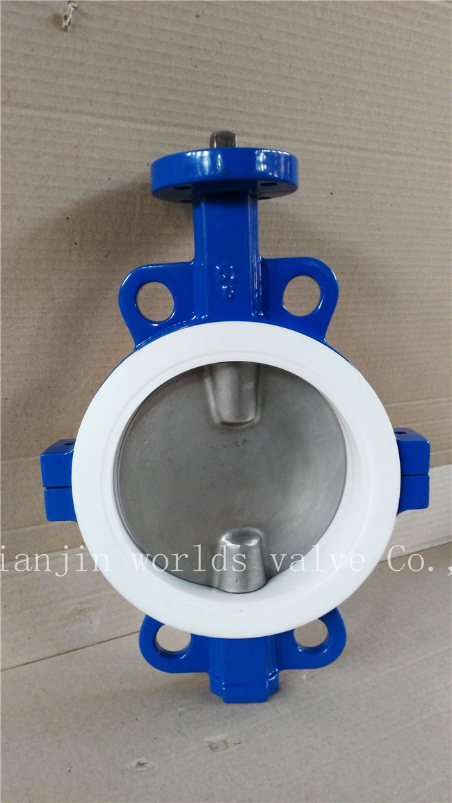 PTFE Butterfly Valve with Ce ISO Wras (CBF04-TA01)