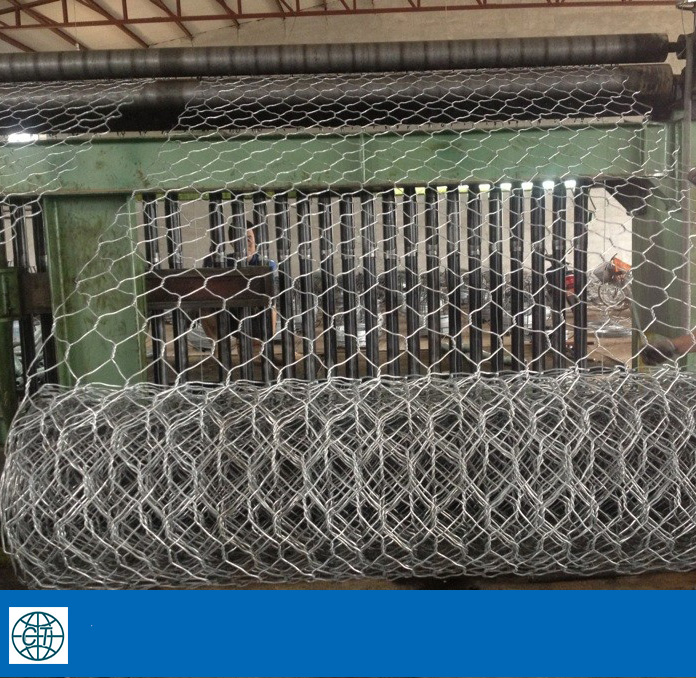 Chicken Wire Mesh, PVC or Hot Dipped Galvanized