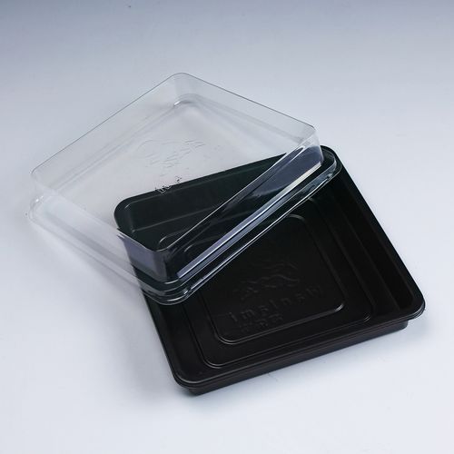 Plastic Food Packing Box Manufacturer
