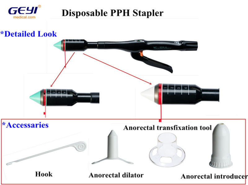 Disposable Surgical Pph Stapler with CE ISO Certificate