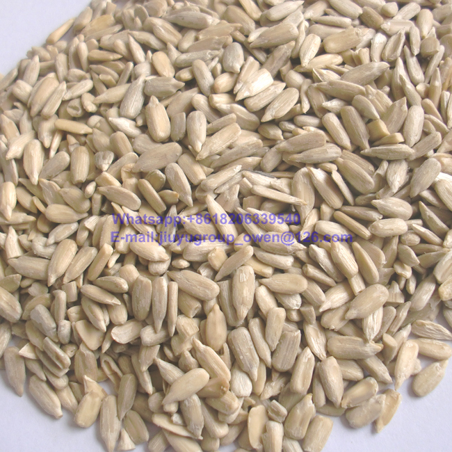 Lady Nail Top Quality Sun Flower Seeds Kernel