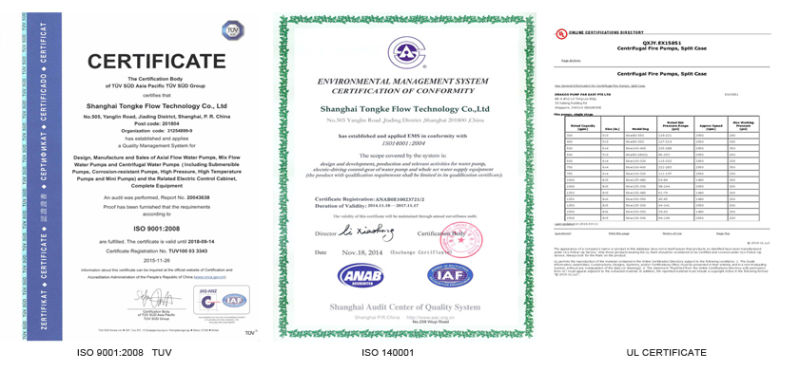 Axial (Fixed) Flow Submersible Electric Pump with Ce Certificate