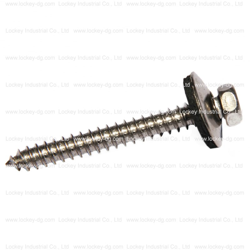 Stainless Steel Self Tapping Screw Deck Screw