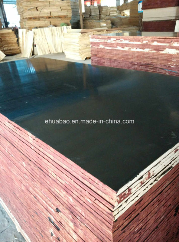 1220*2440mm First Grade Film Faced Plywood