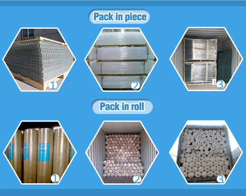 China 10 Gauge Galvanized Welded Wire Mesh