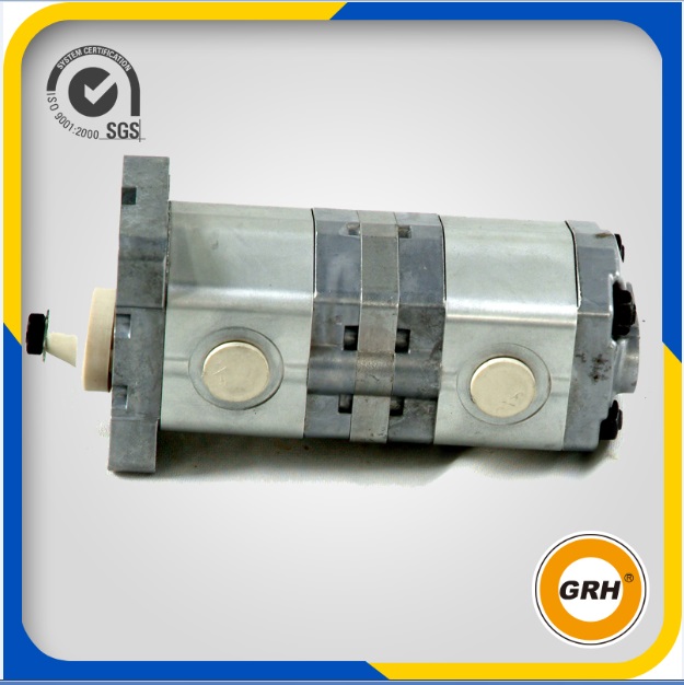 ODM Custom Rotary Double Gear Oil Pump for Hydraulic System