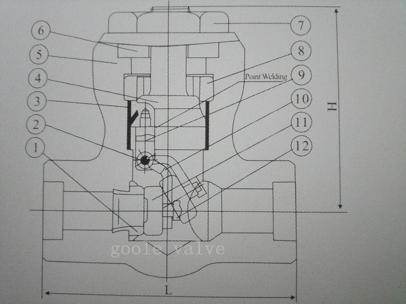 Forged Steel Pressure Seal Swing Check Valve (GAH64H)