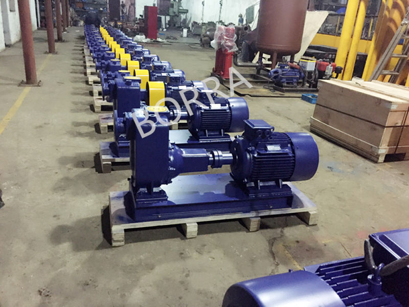 Trash Non-Clogging Irrigation Waste Water Pump