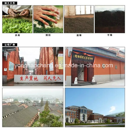 10 Years China Diancai Whisper of Pu'erh Tea